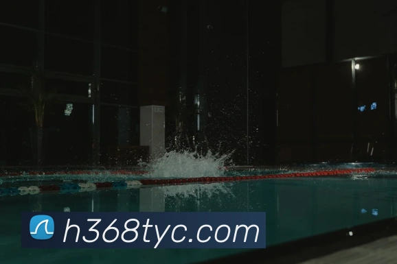互动解说服务
